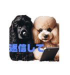 癒し犬プードルはっぴーと可愛い仲間たち（個別スタンプ：6）