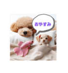 癒し犬プードルはっぴーと可愛い仲間たち（個別スタンプ：28）