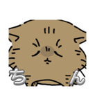 ちんという猫（個別スタンプ：14）