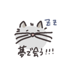 ねこたちず3（個別スタンプ：10）