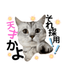 ねこの銀次くん5（個別スタンプ：1）