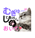 ねこの銀次くん5（個別スタンプ：14）