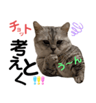 ねこの銀次くん5（個別スタンプ：36）