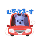 犬のいーちゃん（個別スタンプ：11）