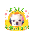 犬のいーちゃん（個別スタンプ：26）