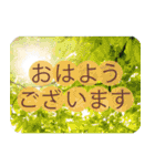 ずっと使える大人の挨拶・お祝いメッセージ（個別スタンプ：3）