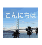 ずっと使える大人の挨拶・お祝いメッセージ（個別スタンプ：4）