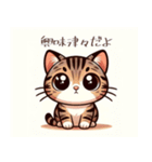 かわいいトラ猫：さまざまな感情を表現！（個別スタンプ：9）