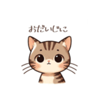 かわいいトラ猫：さまざまな感情を表現！（個別スタンプ：10）