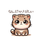 かわいいトラ猫：さまざまな感情を表現！（個別スタンプ：14）