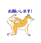 ヨガを嗜む柴犬さん2（個別スタンプ：14）