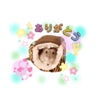 ハムスター【りき】の可愛い気持ちスタンプ（個別スタンプ：2）