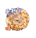 ハムスター【りき】の可愛い気持ちスタンプ（個別スタンプ：7）
