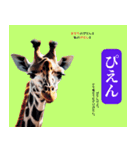 選挙ポスター風 日常会話スタンプ（個別スタンプ：19）