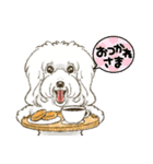 My Dog Stickers-Leo＆Riku-（個別スタンプ：3）