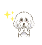 My Dog Stickers-Leo＆Riku-（個別スタンプ：13）