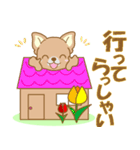 わんこ日和(茶チワワ)①-toYvu-（個別スタンプ：17）