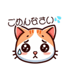 日常で使える猫のlineスタンプ（個別スタンプ：17）