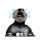 日常ォ3（個別スタンプ：1）