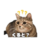 日常ォ3（個別スタンプ：2）