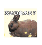 日常ォ3（個別スタンプ：5）