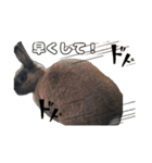 日常ォ3（個別スタンプ：6）