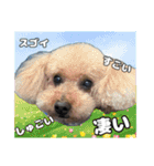 日常ォ3（個別スタンプ：8）