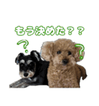 日常ォ3（個別スタンプ：9）
