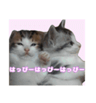 日常ォ3（個別スタンプ：11）