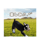 日常ォ3（個別スタンプ：13）