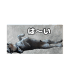 日常ォ3（個別スタンプ：14）
