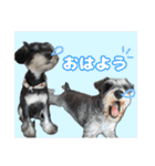日常ォ3（個別スタンプ：15）