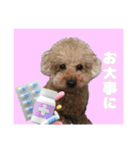 日常ォ3（個別スタンプ：21）