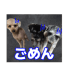 日常ォ3（個別スタンプ：27）