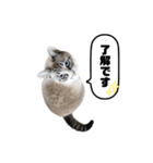 COCO TAKEMOTO -season 3-（個別スタンプ：9）