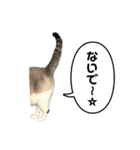 COCO TAKEMOTO -season 3-（個別スタンプ：17）