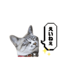 COCO TAKEMOTO -season 3-（個別スタンプ：19）