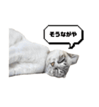 COCO TAKEMOTO -season 3-（個別スタンプ：21）