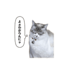 COCO TAKEMOTO -season 3-（個別スタンプ：40）