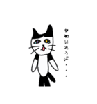 半袖短パンふしぎにゃんこ（個別スタンプ：3）
