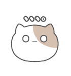 Pumiねこ（個別スタンプ：9）