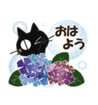 黒ねこの梅雨便り（個別スタンプ：1）