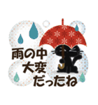 黒ねこの梅雨便り（個別スタンプ：13）