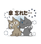 黒ねこの梅雨便り（個別スタンプ：21）