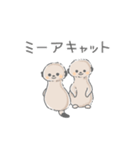 ミーアちゃんスタンプ（個別スタンプ：17）