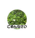 自然の中で風を感じて❗️（個別スタンプ：6）