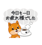 柴犬「ムサシ」56 大人の優しい敬語（個別スタンプ：11）