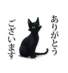 緑目黒猫★敬語スタンプ（個別スタンプ：1）