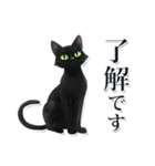 緑目黒猫★敬語スタンプ（個別スタンプ：3）