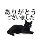 緑目黒猫★敬語スタンプ（個別スタンプ：5）